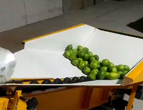 水果套袋機(jī)
