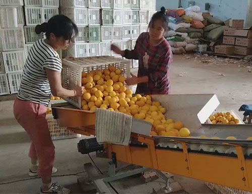 水果套袋機(jī)